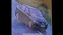 Man arrested in Kildare hit & run investigation