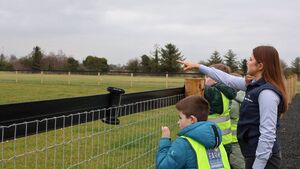 Newbridge's Lidl Farm opened to primary schools