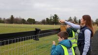 Newbridge's Lidl Farm opened to primary schools