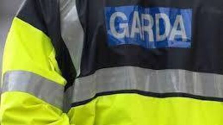 Athy man gets conviction for calling garda 'a prick'