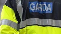 Athy man gets conviction for calling garda 'a prick'