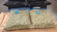 Two men arrested after separate drug seizures in Kildare