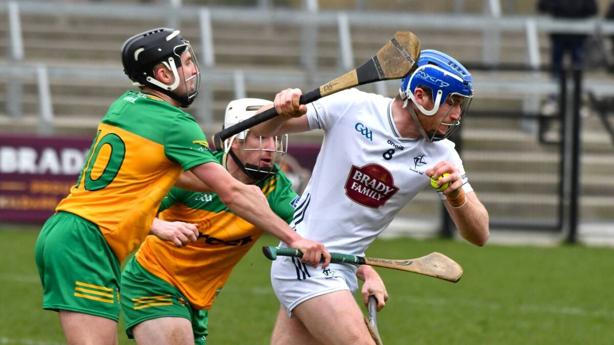 Hurlers remain on course for Division 1 hurling