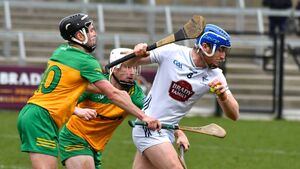 Hurlers remain on course for Division 1 hurling
