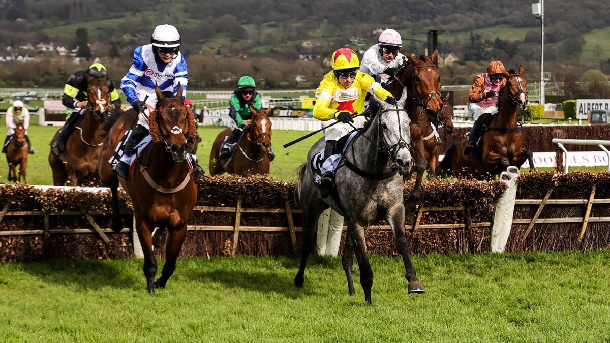 Castldermot GAA to host star-studded Cheltenham preview night