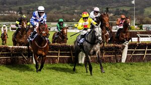 Castldermot GAA to host star-studded Cheltenham preview night