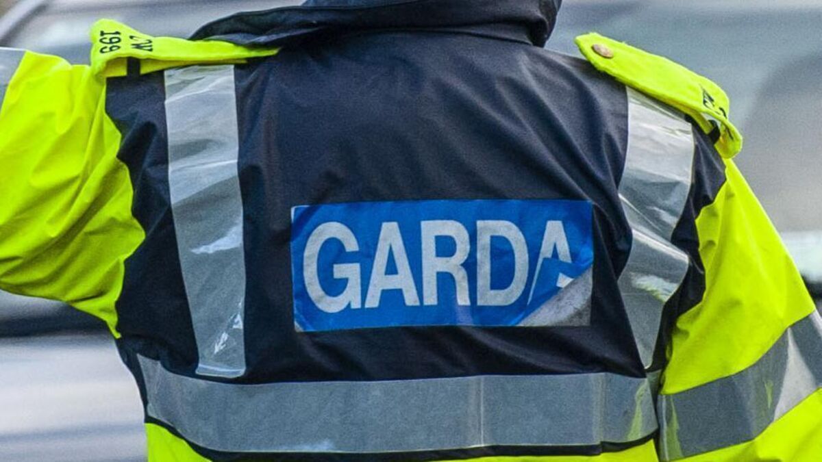 Disqualified driver fled into field