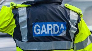 Disqualified driver fled into field