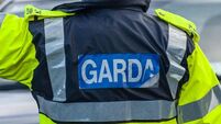 Disqualified driver fled into field 