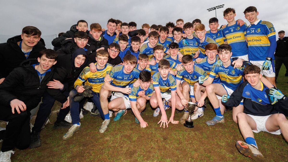 Magnificent Naas CBS comeback yields Leinster Final spot