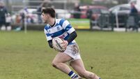 League safety secured, now Athy RFC look for cup glory