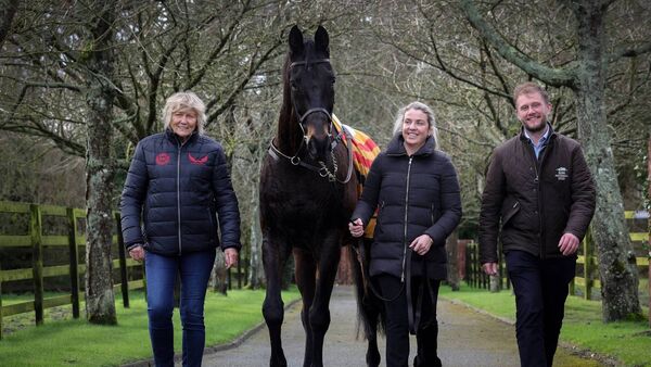 Gold Cup hero Sizing John joins the Living Legends paddock at the Irish National Stud