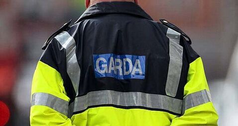Gardaí appeal for witnesses after discovery of man's body in Dublin's Grand Canal