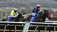Connell thrilled with second place in Cheltenham Festival opener