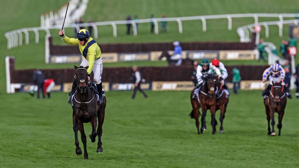 Punchestown next for Marine Nationale