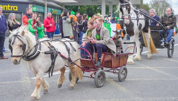 A pony and cart drew smiles