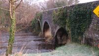 Popular Kildare swimming spot 'not suitable' for designated status