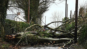 'Absolutely no need for red warning': Met Éireann received complaints over Storm Éowyn forecast