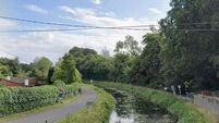 Council get its hands on five acres in centre of Naas