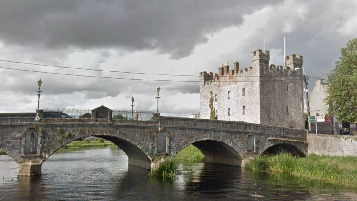 Athy to get waste stations to tackle dog poo problem