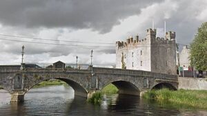 Athy to get waste stations to tackle dog poo problem