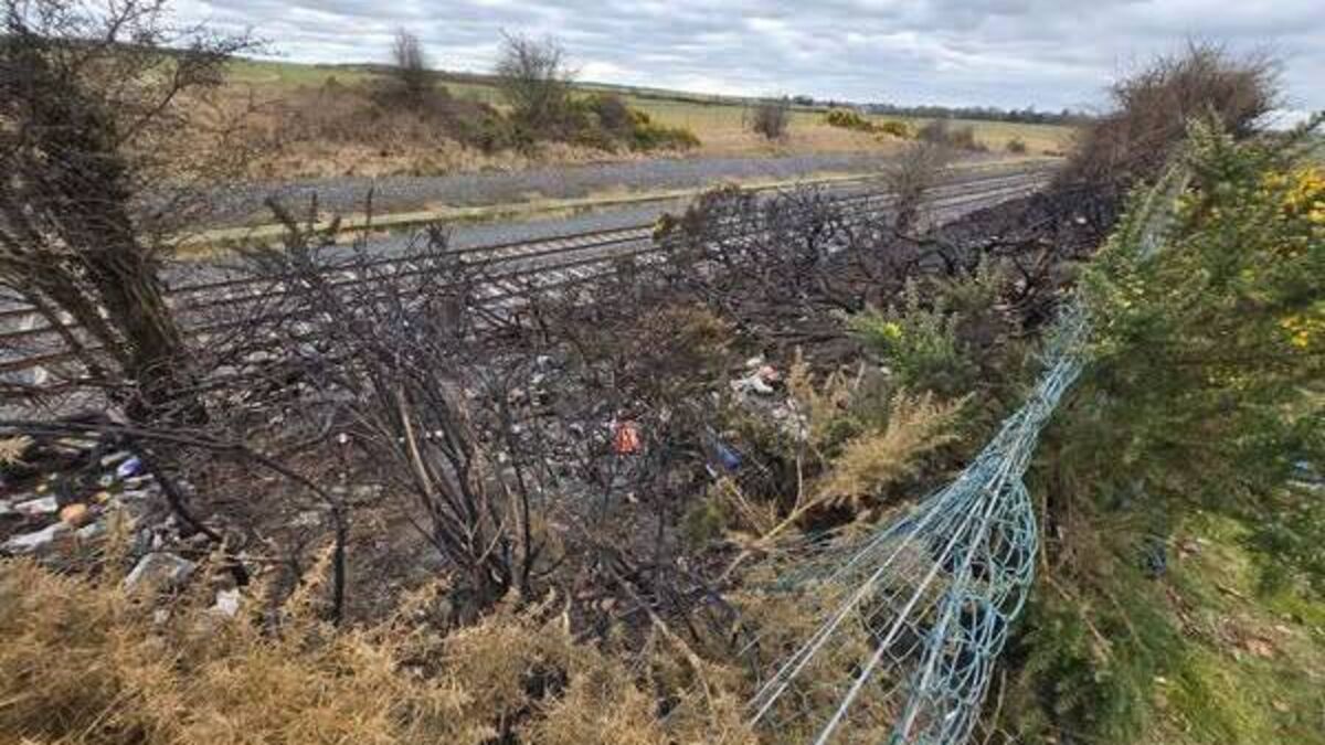 Illegal encampments return to the Curragh