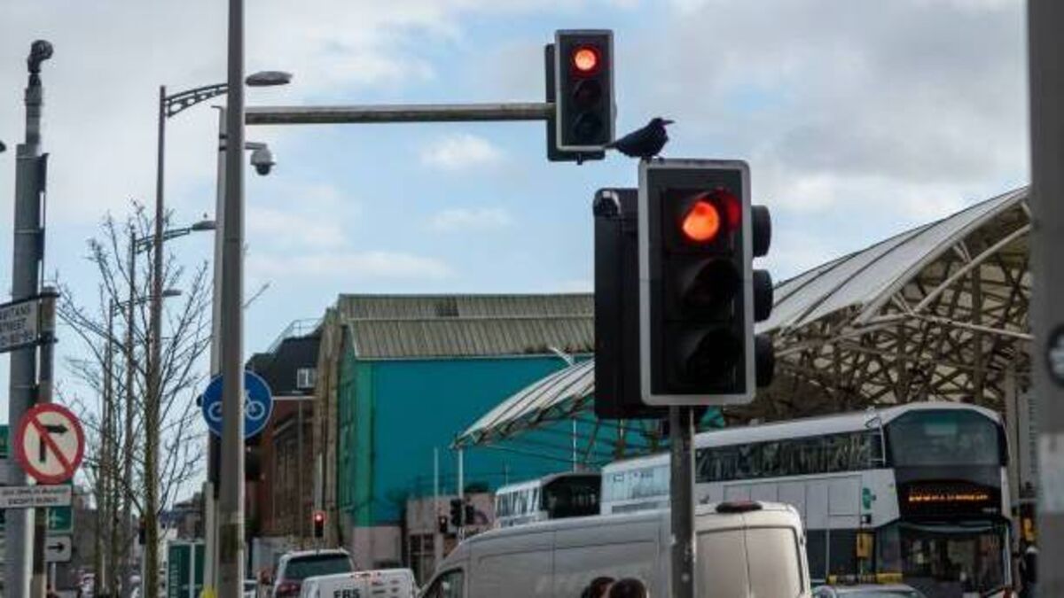 Naas Gardaí crack down on road users breaking red lights