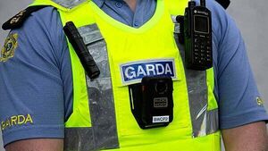 Sexual offences rose last year but robberies and homicides fell, crime stats show Sexual offences rose last year but robberies and homicides fell, crime stats show