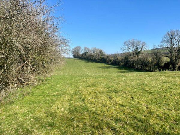 9.63 Acres at Dowdenstown Great, Ballymore Eustace 