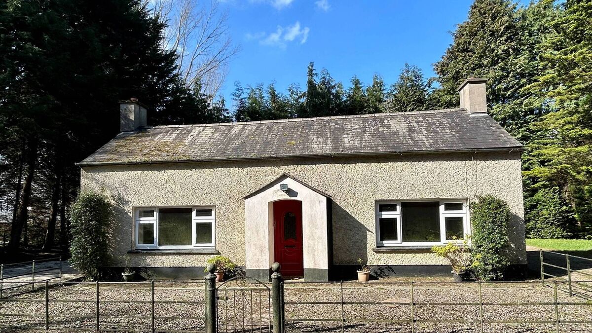 Kildare home and ten acres up for auction next month 
