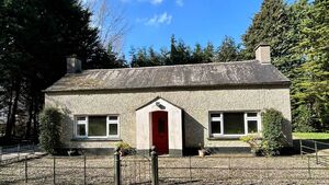 Kildare home and ten acres up for auction next month 