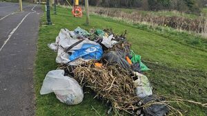 Suspected Kildare canal dumper identified 