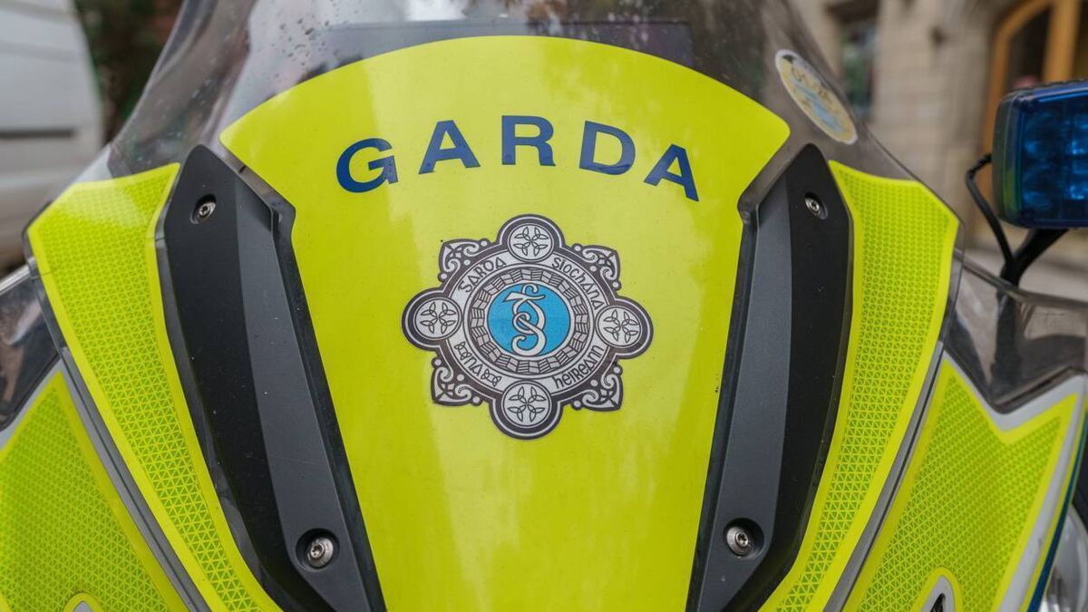 Athy drink driver described test results as 'nonsense'