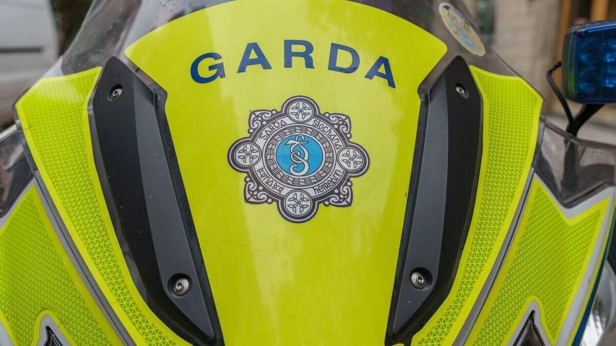 Driver ducked at the wheel when he saw gardaí, Kildare court hears