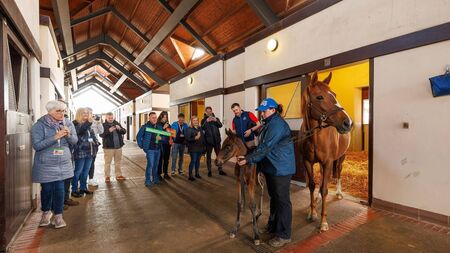 International tourism agents visit Kildare