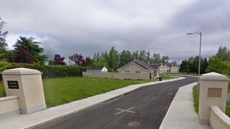 Child 'nearly killed' in housing estate near Kildare/Laois border