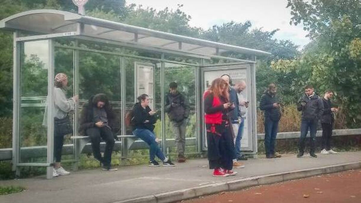 Local bus service cuts Kildare stops