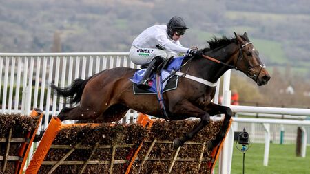 English hurdling superstar Constitution Hill could be set for the Punchestown Festival after second successive fall