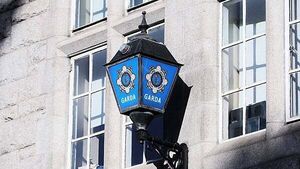 Woman (50s) to appear in court after cash and XL Bully dogs seized at Dublin residence