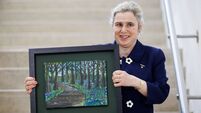 Special exhibition opens this week at Kildare venue