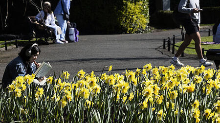 Sunny weather set to continue through the week with highs of 19 degrees