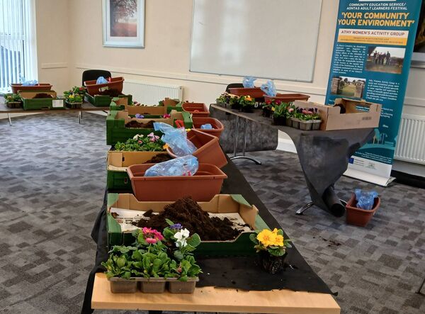 Horticulture Workshop at Community Education Adult Learners' Festival Event 