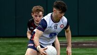 Kildare's Robinson catches the eye for New York