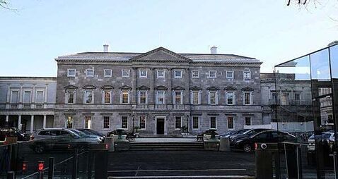 Social Democrats want to include suspended TD for committee formation
