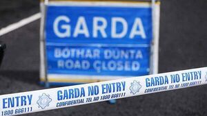 Garda hospitalised after hit-and-run in Westmeath