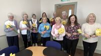 Castledermot Daffodil Day raises €5,000 