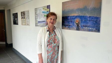 Athy artist's exhibition is a celebration of women
