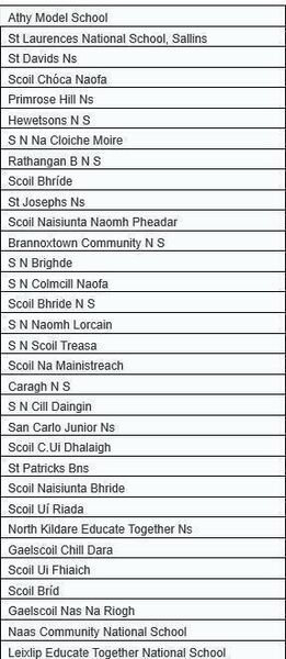 Kildare schools just added to the hot meals programme