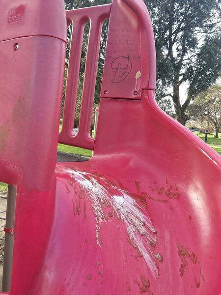 Damages done to park equipment at People's Park Athy Damages done to park equipment at People's Park Athy