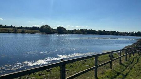 Council seeks input for proposed Kildare park